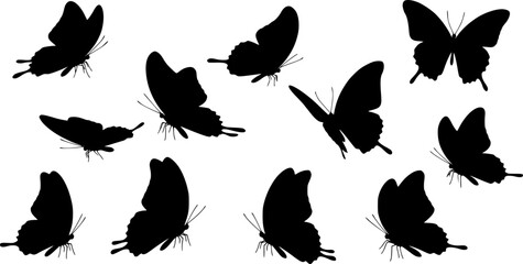 Fototapeta premium Silhouette of a park bench with a tree beside it vector silhouette 