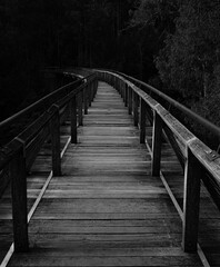 Obraz premium Forest bridge