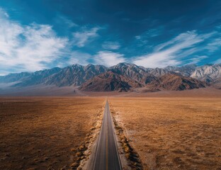Empty road stretches into a vast desert landscape, mountains rise in the distance under a vibrant blue sky