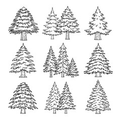 Obraz premium Set of hand-drawn pine trees with sketchy style for nature scenes