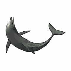 Classic Dolphin Illustration