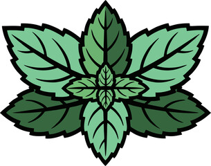 Stylized Peppermint Leaves Vector Illustration – Botanical Green Herbal Logo Design © Gian