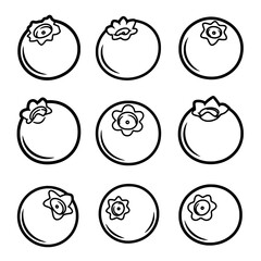 Set of blueberry icons with sketch style for health and food topics