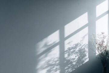 Sunlight streams through a window, casting shadows on a light grey wall beside dried flowers in a vase
