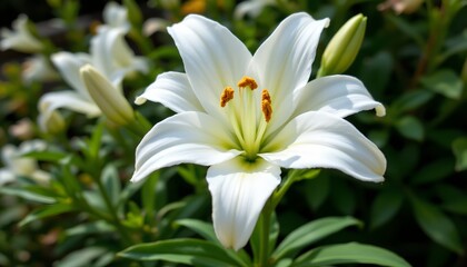 Fototapeta premium a vibrant garden setting with a focus on a large white flower blooming in the center of the frame