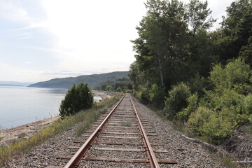 Obraz premium Railway in the woods and travel in summer. Path for train.