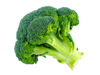 Fresh green broccoli florets and stems isolated on transparent background