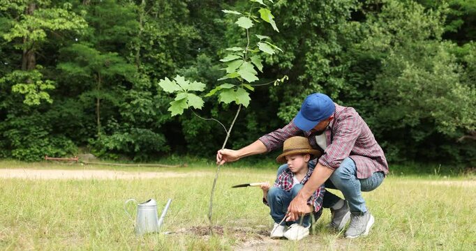 Father and his son planting tree into soil outdoors. Camera moving up