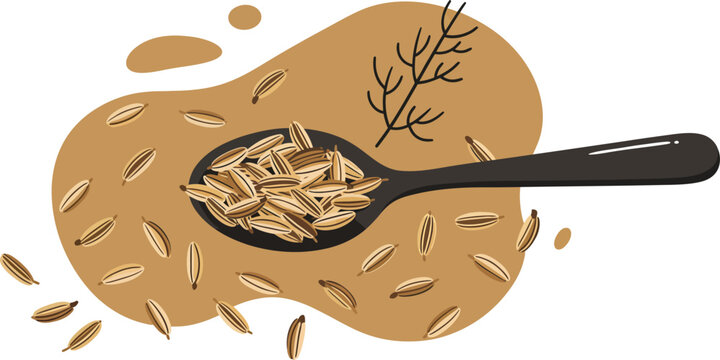 Wooden spoon filled withc cummin powder and scattered cummin grains natural food illustration in brown tones 