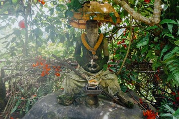 A moss-covered statue of a bearded man sits under a tree with red flowers in Bali, The statue wears...