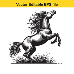 Obraz premium Majestic Stallion Rearing Upward Black and White Engraving Style with Flowing Mane and Tall Grass Accenting the Image