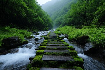 A tranquil pathway through a lush green forest, meandering beside a gentle stream