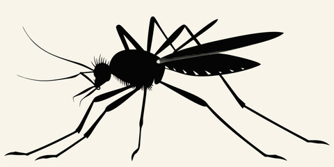 Silhouette illustration of a mosquito in lateral position, its main anatomy is the head with prominent antennae and proboscis, a large thorax, and six slender legs and a pair of transparent wings.