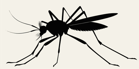 Silhouette illustration of a mosquito in lateral position, its main anatomy is the head with prominent antennae and proboscis, a large thorax, and six slender legs and a pair of transparent wings.