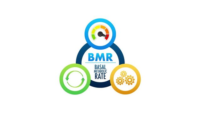 Basal Metabolic Rate animation on white and green screen background