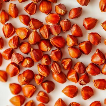 closeup of annatto seeds bright redorange color macro texture  food detail clean white background