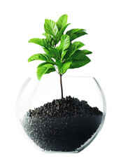 Investment Fund for Asset Management and Growth - Isolated on White Background