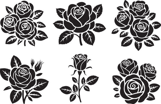 Silhouette of Blooming Rose Flower, Elegant Botanical Rose in Full Blossom with Petals and Leaves for Romantic Floral Design and Decoration