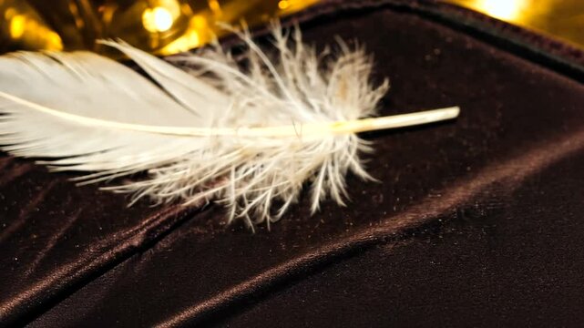 Elegant white feather placed on a plush dark surface with soft golden lights in the background