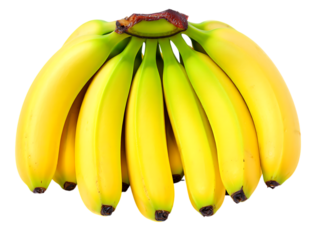 Bunch of ripe yellow bananas with green tips isolated on transparent background