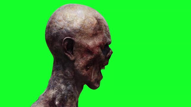 Zombie green screen realistic 4k animation.