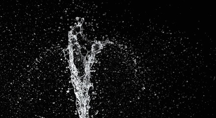 Splashing Water Droplet in Black Background with High Contrast and Dynamic Motion