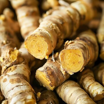closeup of wild ginger rhizomes with yellowbrown skin, macro wild root photography, isolated background, soft natural light