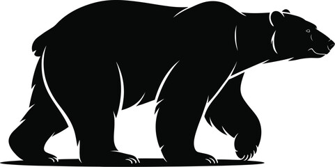 Black bear walking side view animal wildlife