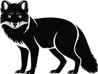 Obraz premium Black fox standing alert wild animal mammal