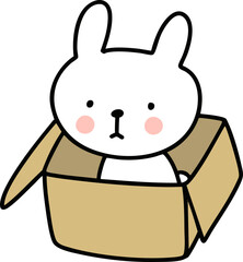 A rabbit in a box