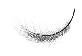 Lash Adhesive for Eyelash Extensions and Beauty - Isolated on White Background