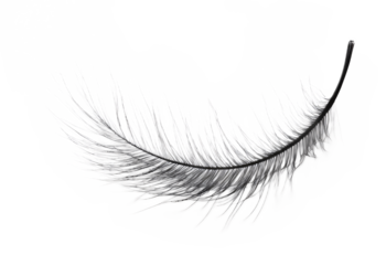 Lash Adhesive for Eyelash Extensions and Beauty - Isolated on White Background