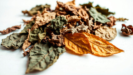 Close up shot of a pile of dried leaves in various colors on a white surface in a studio setting