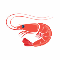 shrimp vector illustration