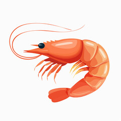 shrimp vector illustration