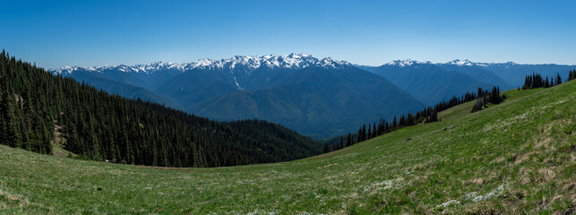 Hurricane Ridge, Olympic Park, Washington