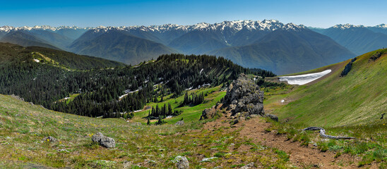 Hurricane Ridge, Olympic Park, Washington