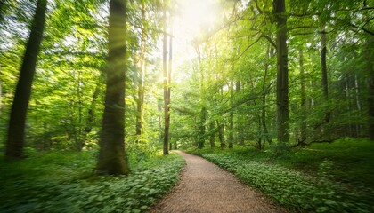 Obraz premium serene blurred pathway through a lush green forest