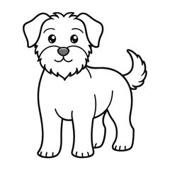 American Shorthair dog