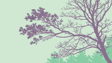 Mint Green Lavender Grainy Gradient Blur Background