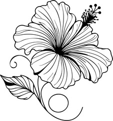 Elegant single-line vector of a hibiscus flower with flared petals and stamen, isolated on white.
