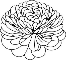 Single-line vector of a peony flower with layered circular petals, flat and monochrome design.

