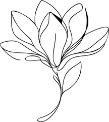 Single continuous line illustration of a magnolia flower in bloom, clean and modern aesthetic.
