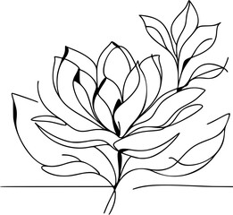 Single continuous line illustration of a magnolia flower in bloom, clean and modern aesthetic.
