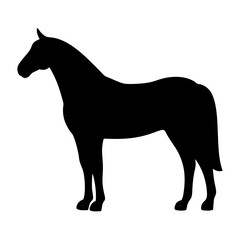Elegant black horse silhouette isolated on white background, a graceful representation