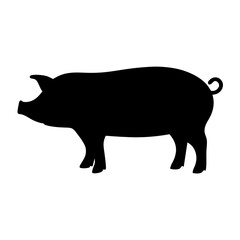Silhouette image of a pig standing still on a white background