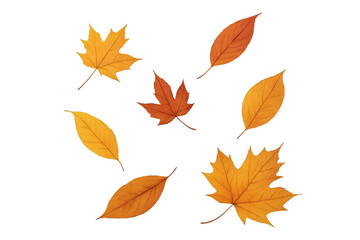 Autumn foliage drifting softly against translucent backdrop, highlighting seasonal elegance