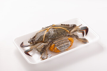 ［北海道産］ワタリガニ　子持ち