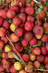 bunch of fresh lichees at vertical composition