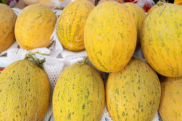 yellow hami melons at horizontal composition